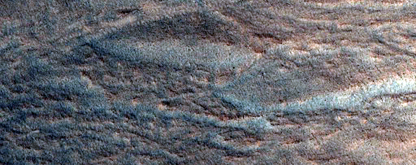 Gully Monitoring
