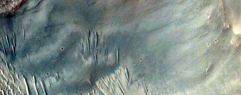 Well-Preserved Gullied Impact Crater