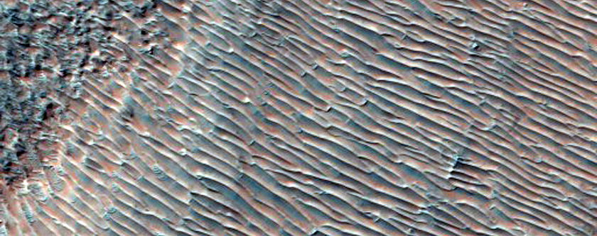 Margin of Flow-Like Form with Ripple-Textured Surface