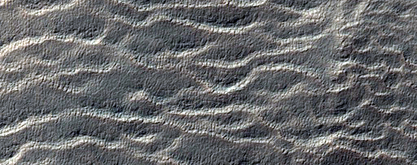Potential Phyllosilicate-Bearing Terrain
