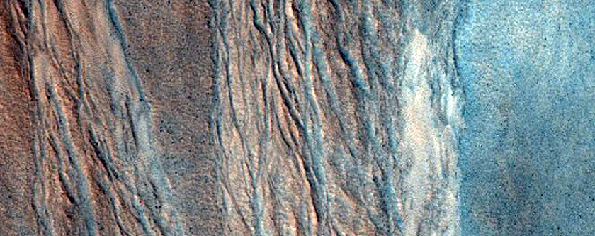 Gully Monitoring