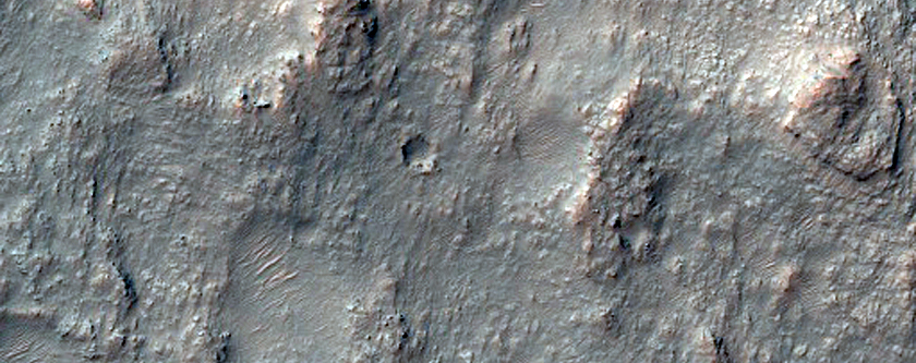 Light-Toned Polygonal Unit Exposed in Crater Walls and Plains