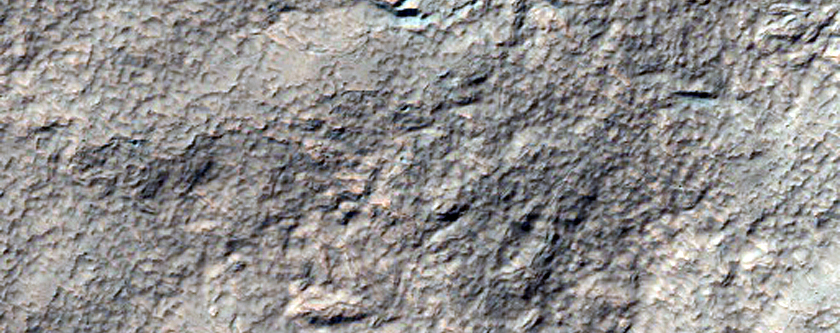 Possible Phyllosilicate Exposure on Rim of Terby Crater