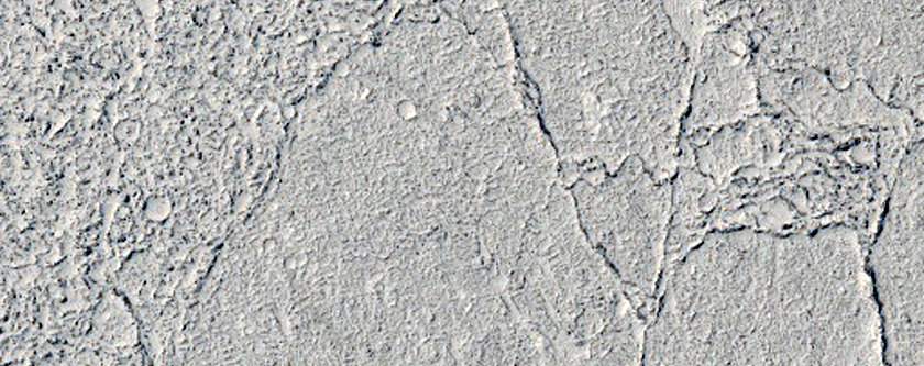 Platy-Ridged Flood Lava Surface in Elysium Planitia