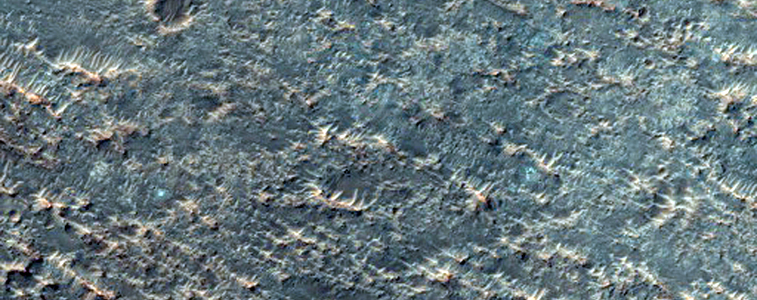 Possible Olivine Detection