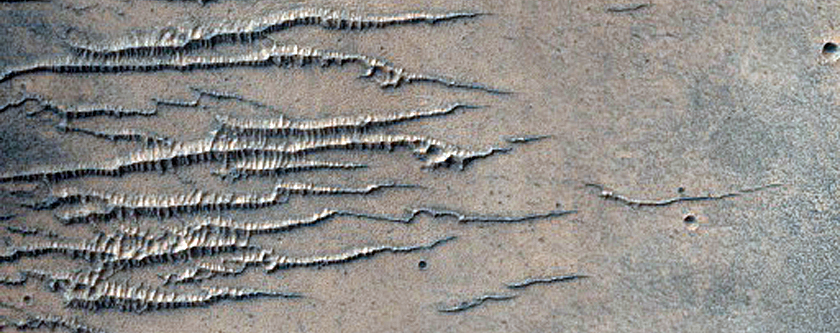 Remnant Dust on Bedrock
