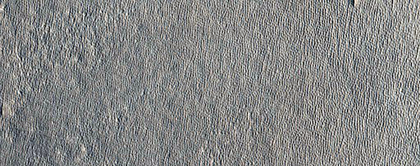 Arcadia Planitia Survey
