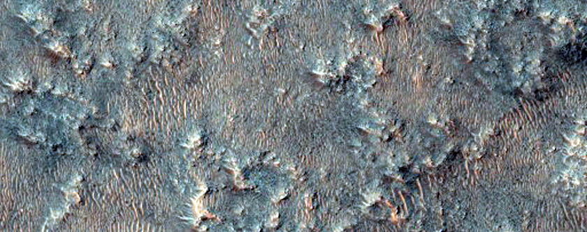 Possible Olivine-Rich Terrain at Edge of Crater Filling Deposit