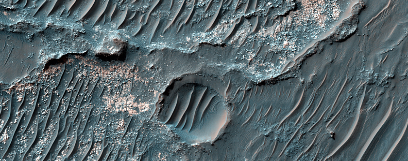 Light-Toned and Possible Hydrated Materials in a Gullied Crater