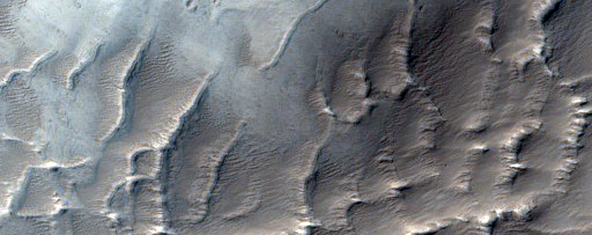 Arsia Mons Reticulate Bedform Change Detection
