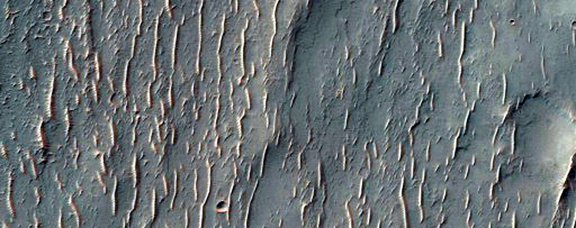 Possible Olivine Detection