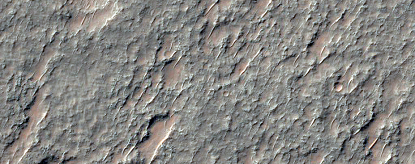Olivine-Rich Flows in Crater Floor in Terra Sirenum
