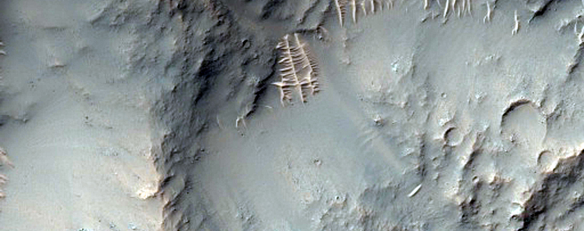 Possible Phyllosilicates in Dejnev Crater