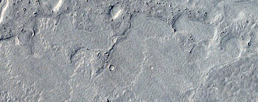 Flows in Southern Elysium Planitia