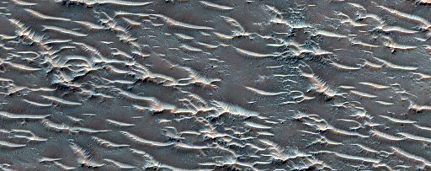 Small Crater Fill with Possible Olivine Deposits