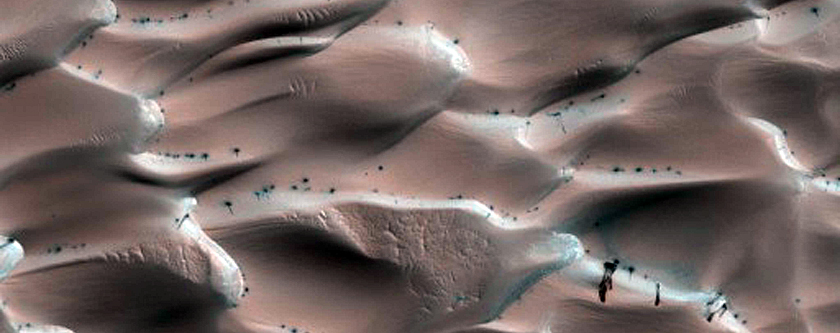 Dune Erosion
