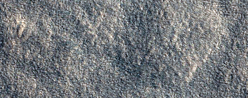 Northern Plains Terrain