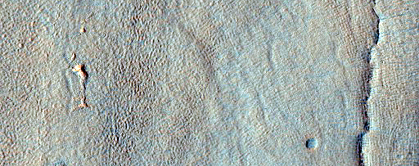 Crater Floor with Concentric Cracks