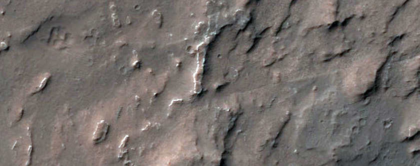 Terrain Sample
