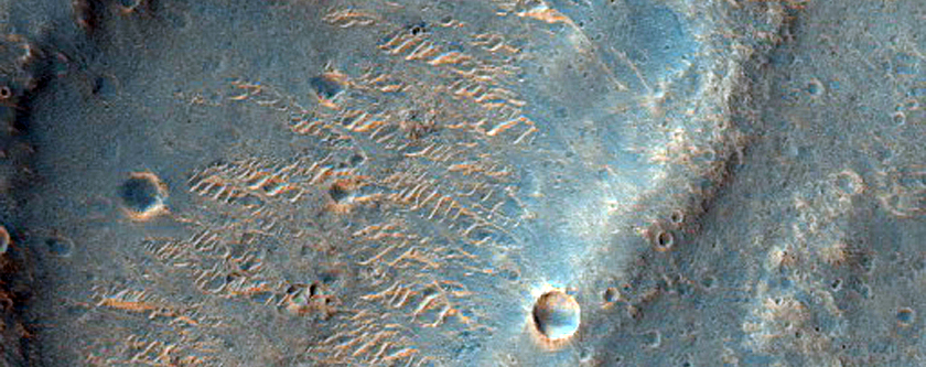 Terrain Sample