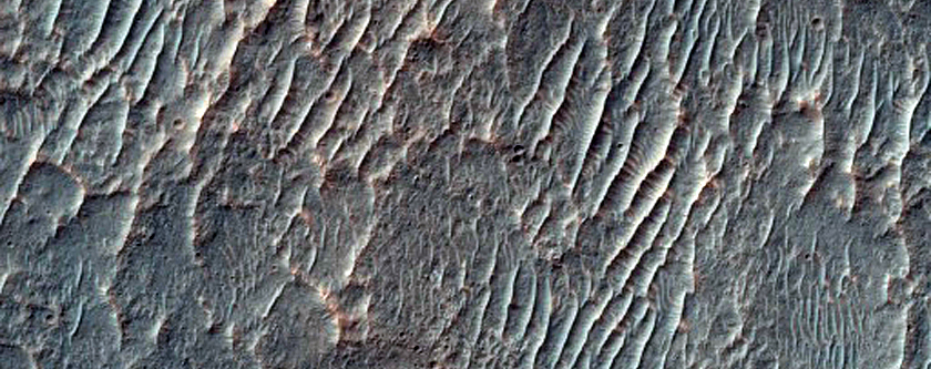 Possible Olivine Detection in Degraded Crater