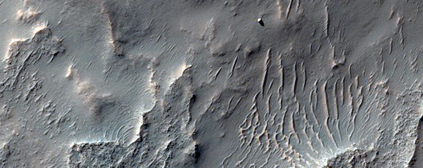 Greater Tharsis Region Crater Rim