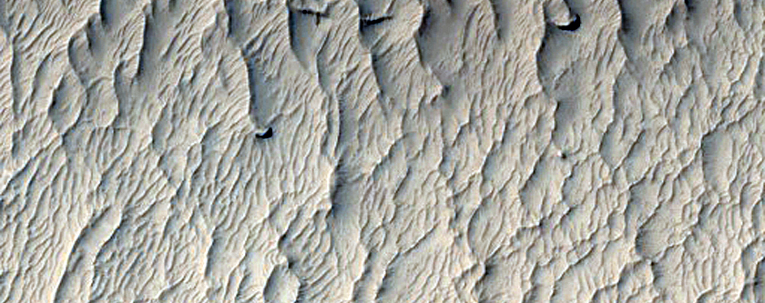 Mesas in Depression and Channel in Gigas Sulci