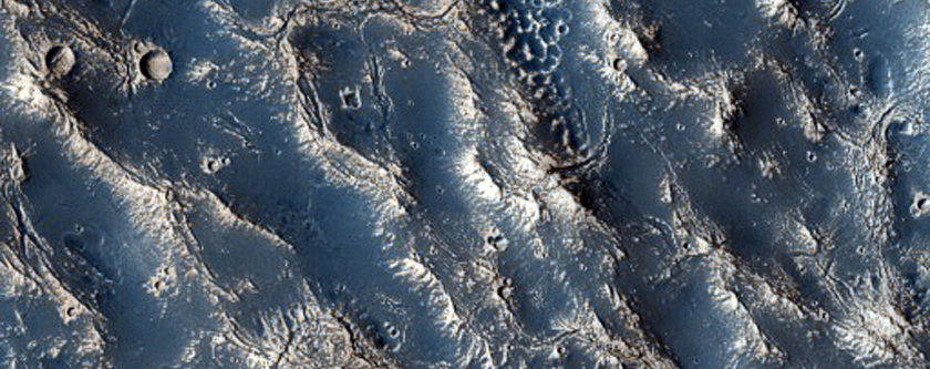Varied Surface Textures near Elysium Region