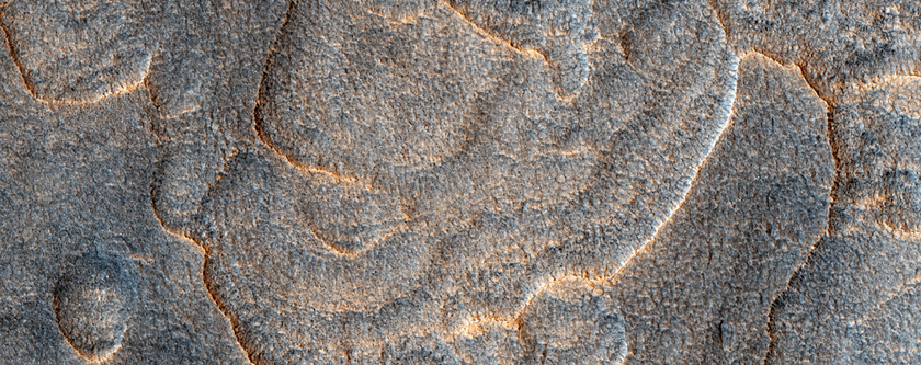 Schulpen, veelhoeken en rotsblokken in Utopia Planitia