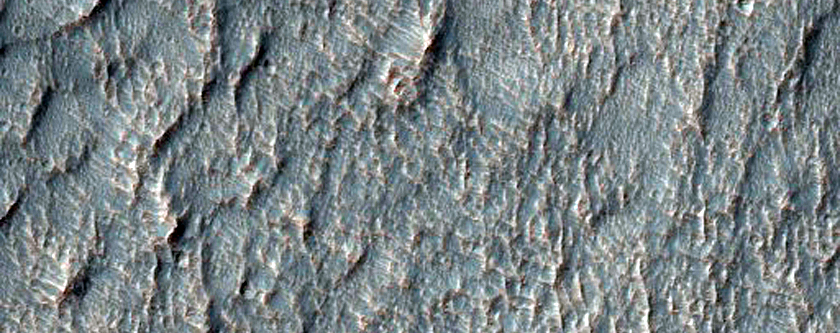 Possible Olivine-Rich Terrain and Sinuous Ridge in Peta Crater