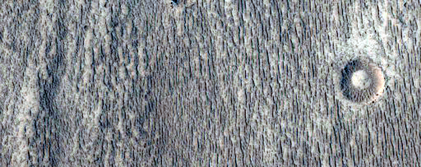 Striated Material in Crater Visible in THEMIS Image V17605022