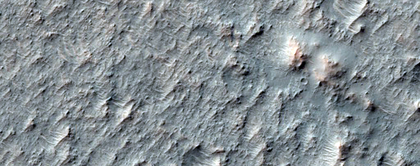 Possible Olivine and High-Calcium Pyroxene-Rich Region of Mariner Crater