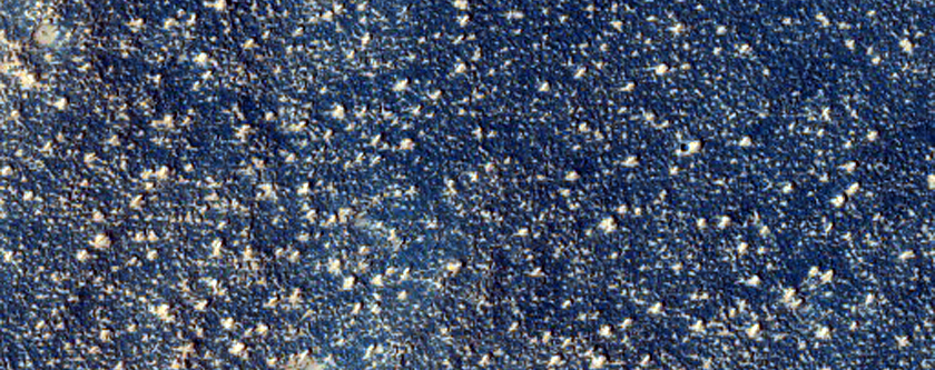 Sample Northern Plains