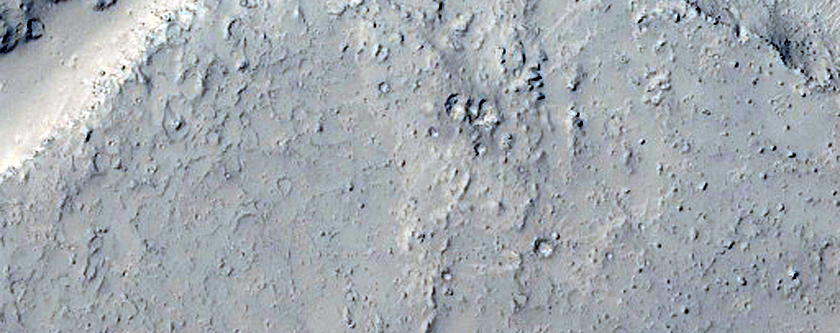 Ring and Cone Structures in Elysium Planitia