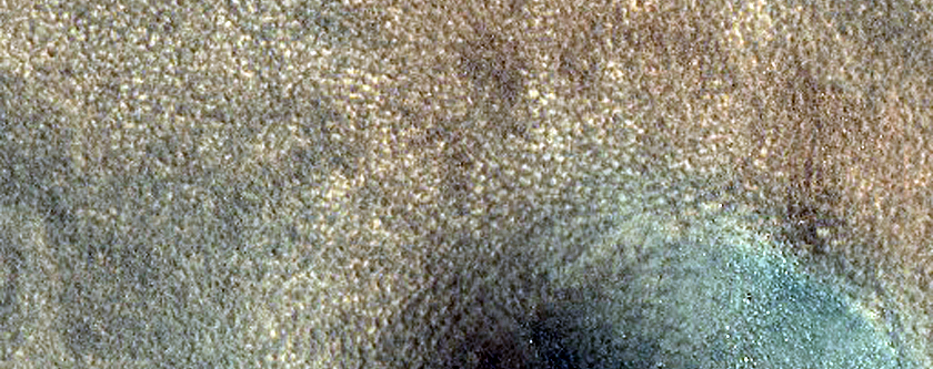 Sample Northern Plains