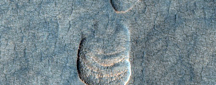 Scalloped Terrain in Utopia Planitia