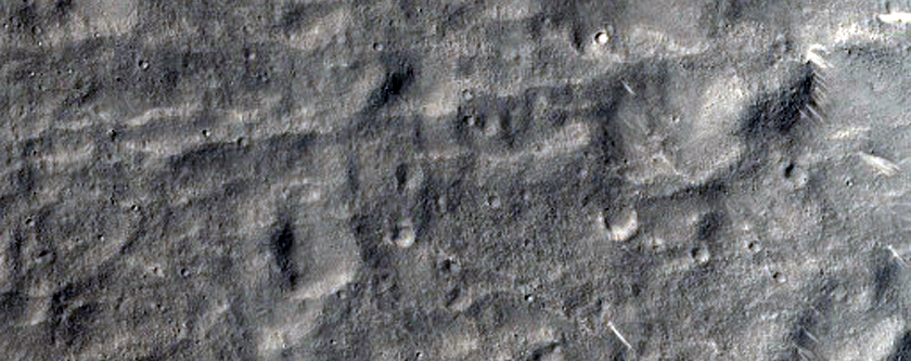 Fresh Craters within Utopia Planitia