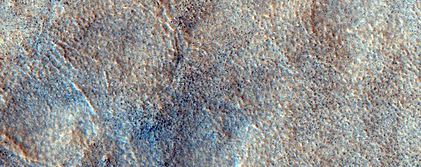 Northern Plains Surface with Large Polygonal Forms
