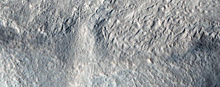 Ridge Features