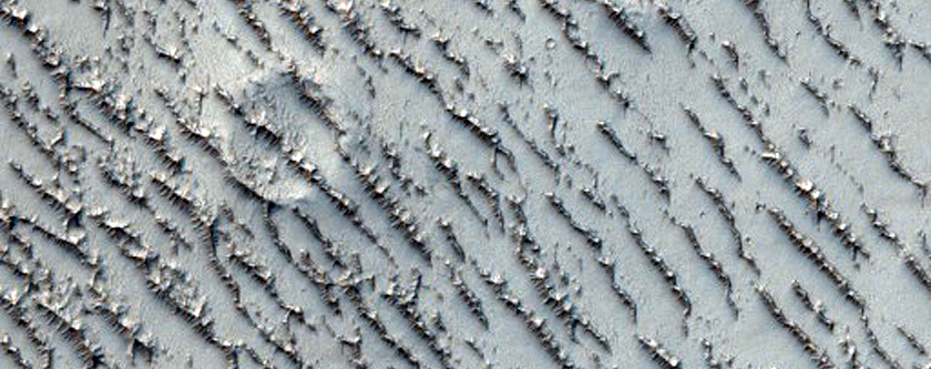 Field of Transverse Aeolian Ridges with Superposed Impact Craters