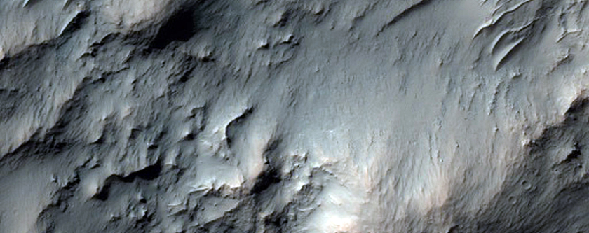 Rocky Carter Floor and Wall
