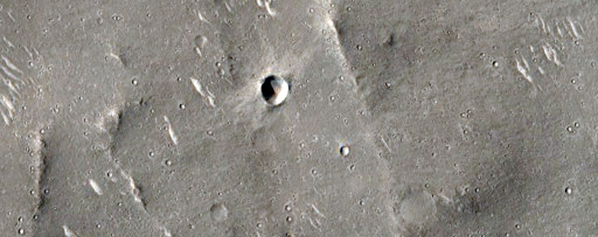 Terrain in Elysium Planitia