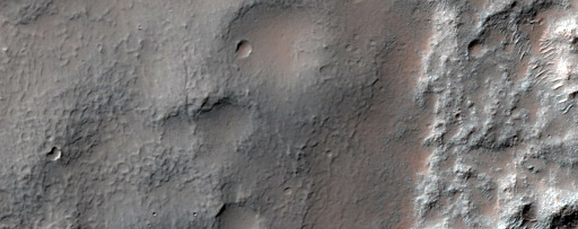 Daedalia Planum Flow Margin