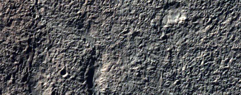 Newton Crater Valleys and Alluvial Fans