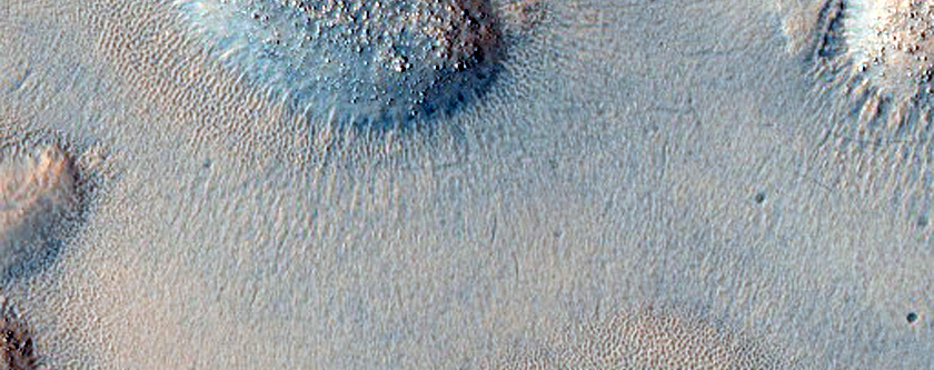 Mound Features