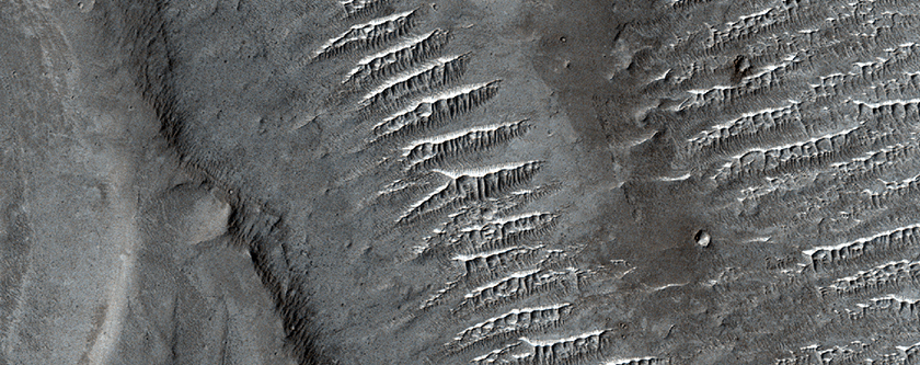 Ridges North of Gale Crater