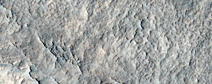 Flow Features among Protonilus Mensae