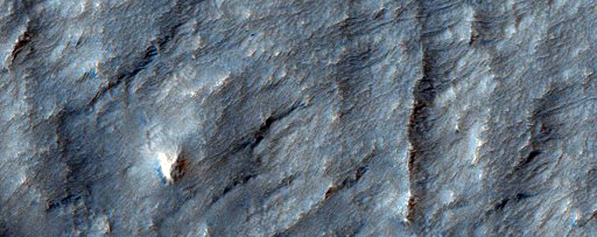 Ridges on Lobate Flow from Hrad Vallis