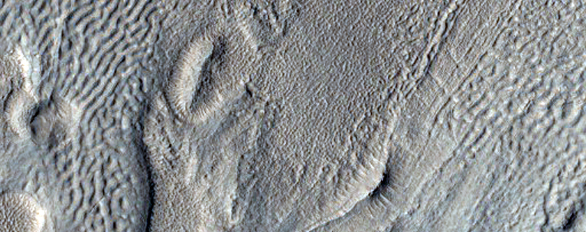 Pits and Cracks on Crater Floor in Protonilus Mensae