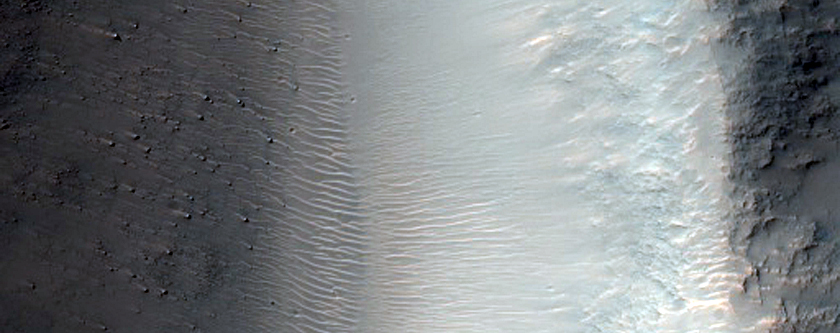 Possible Phyllosilicates Associated with Iani Chaos